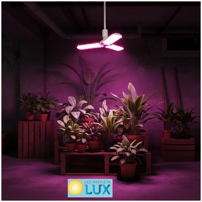 led rasvjeta lux 16Ihg7vf