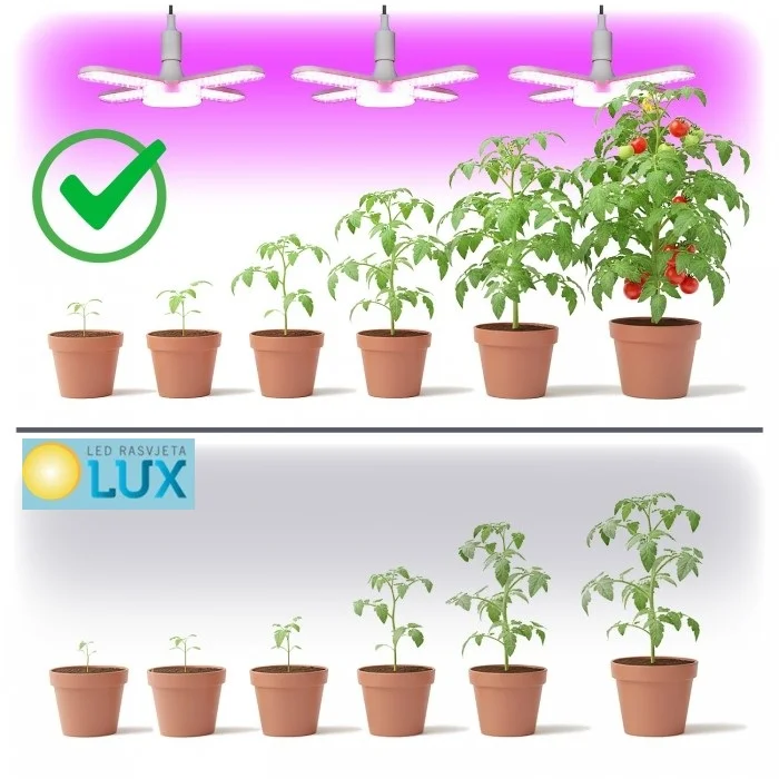 LED ŽARULJA ZA UZGOJ BILJA E27 40W 1200K