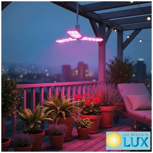 led rasvjeta lux O0rBXVFG