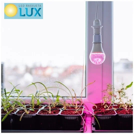 led rasvjeta lux W1hu3dFD