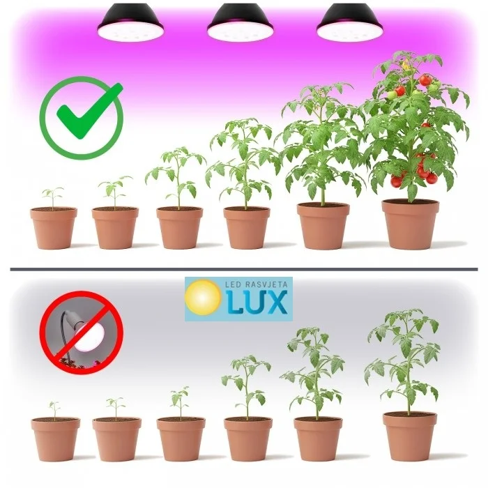 LED ŽARULJA ZA UZGOJ BILJA E27 7W E27 1200K Crna