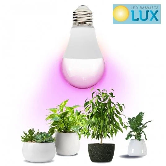 led rasvjeta lux x243ksq4