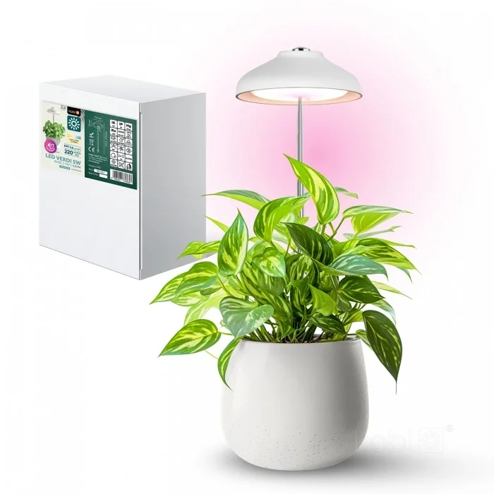 led rasvjeta lux Sz8Sqkz6
